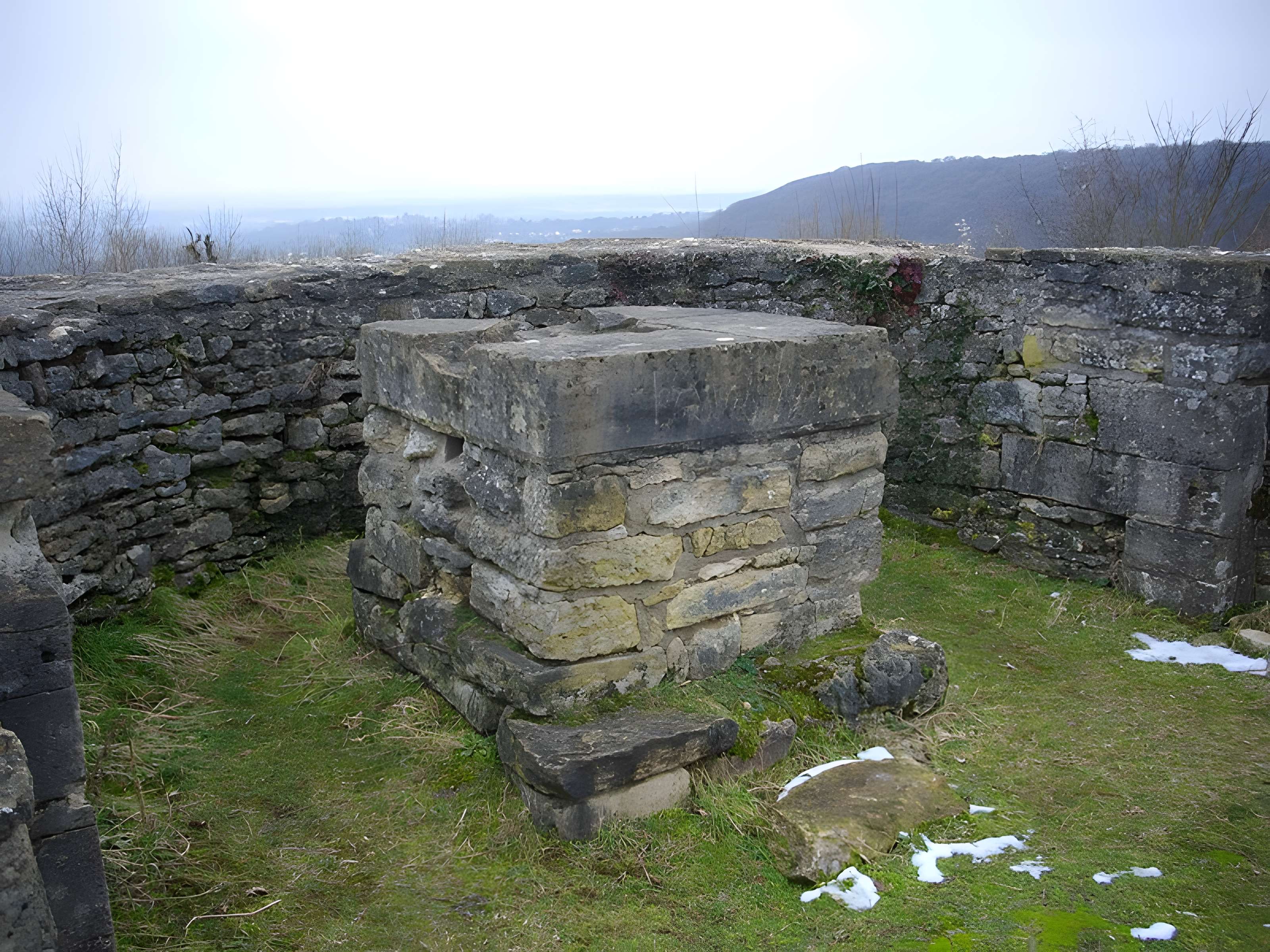 Site archéologique du Mont-Saint-Germain à Châtel-Saint-Germain