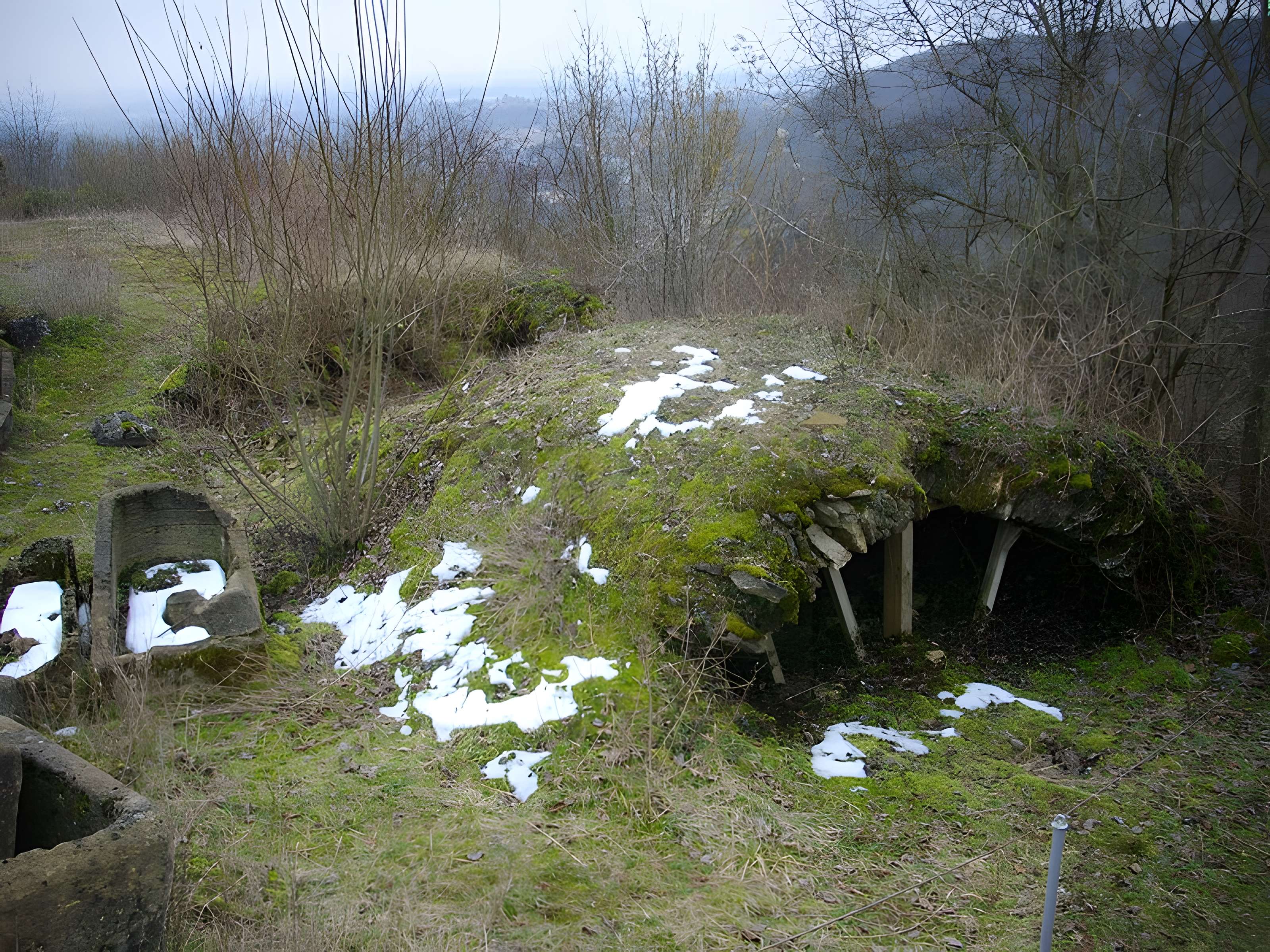 Site archéologique du Mont-Saint-Germain à Châtel-Saint-Germain