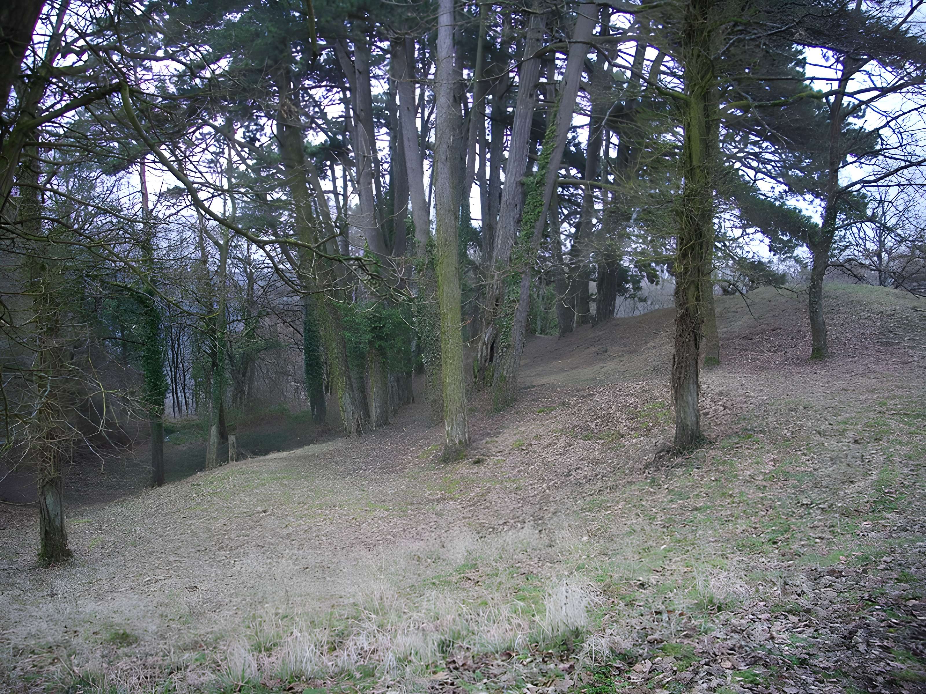 Site archéologique du Mont-Saint-Germain à Châtel-Saint-Germain