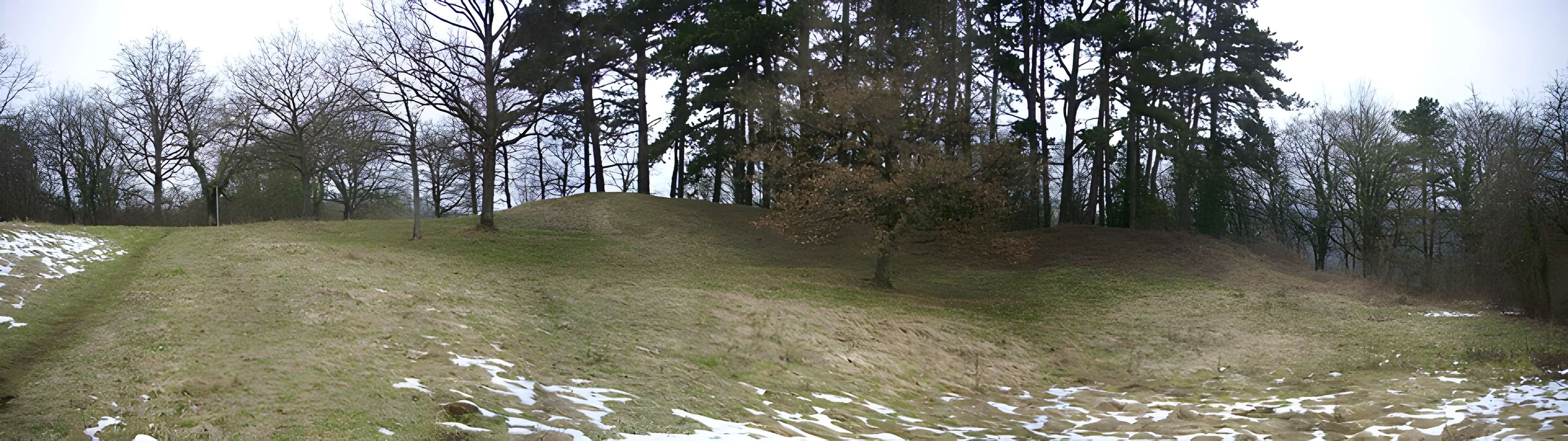 Site archéologique du Mont-Saint-Germain à Châtel-Saint-Germain