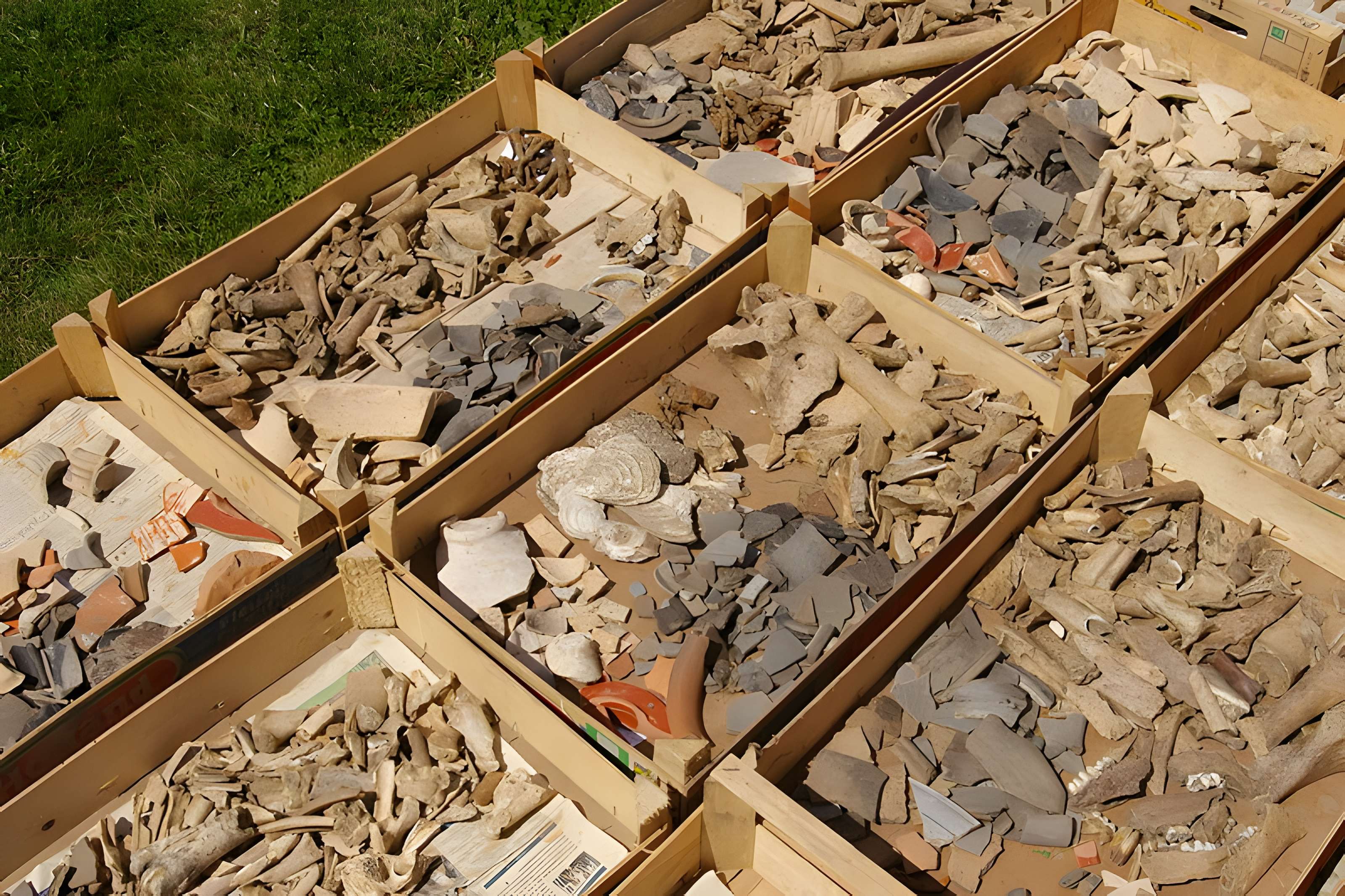 Briga : site archéologique gallo-romain du Bois l'Abbé