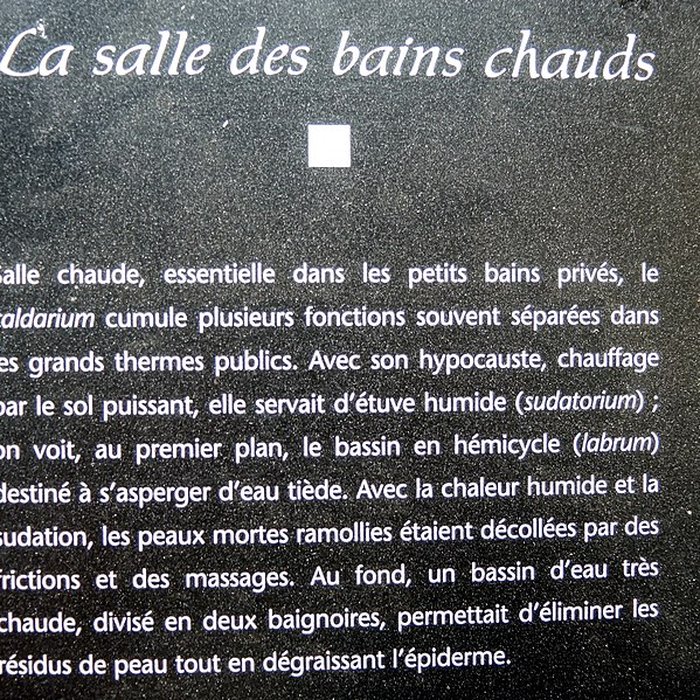 Photo de Site gallo-romain de Jonvelle