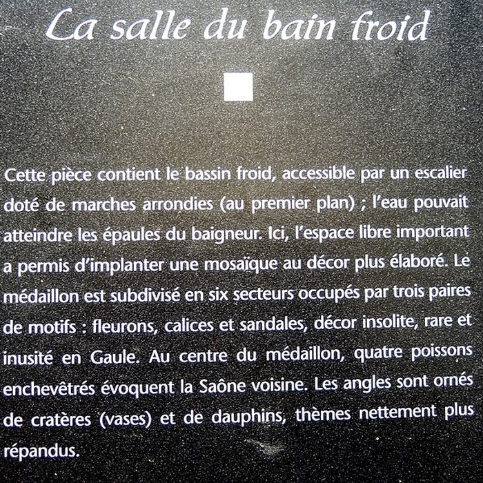 Photo de Site gallo-romain de Jonvelle