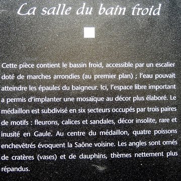 Site gallo-romain de Jonvelle