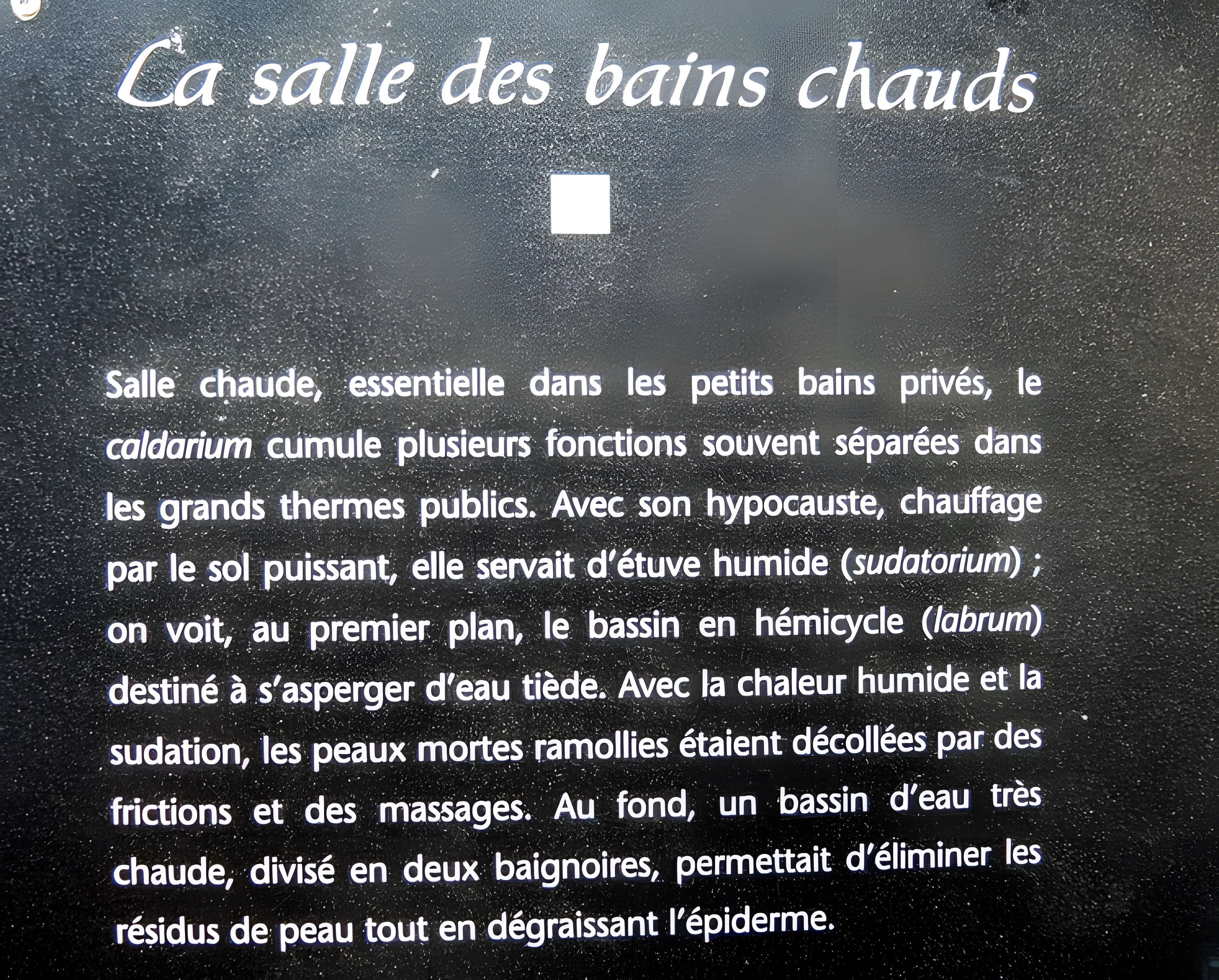 Site gallo-romain de Jonvelle