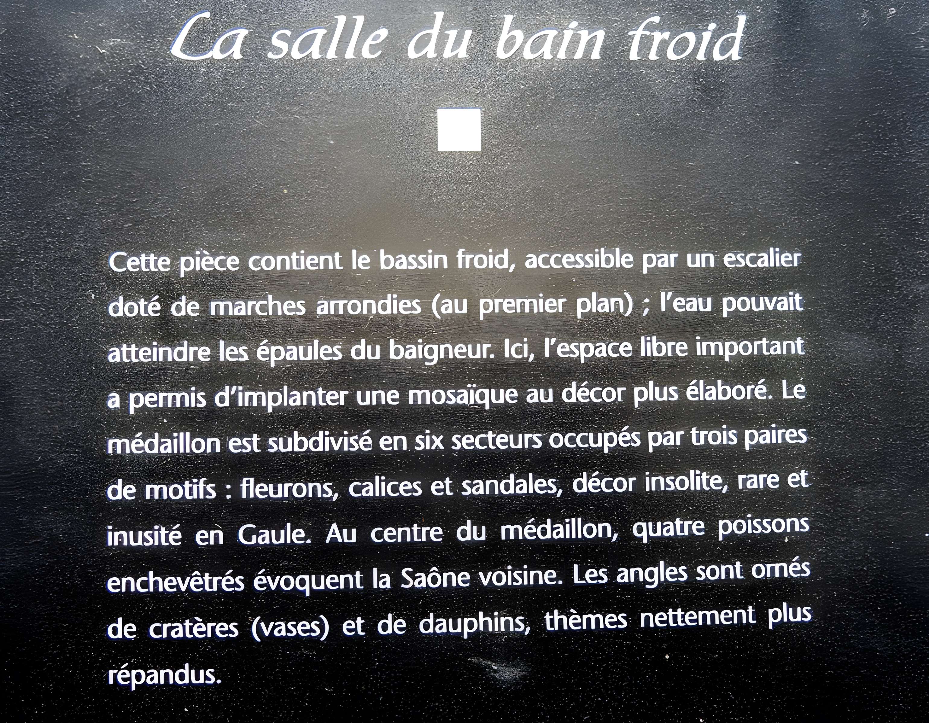 Site gallo-romain de Jonvelle