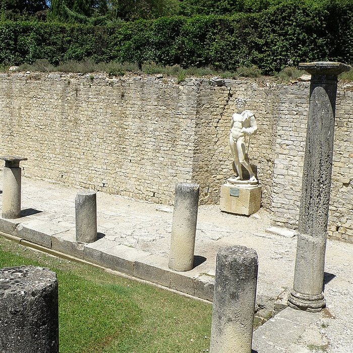 Photo de Site gallo-romain de la colline du Puymin à Vaison-la-Romaine