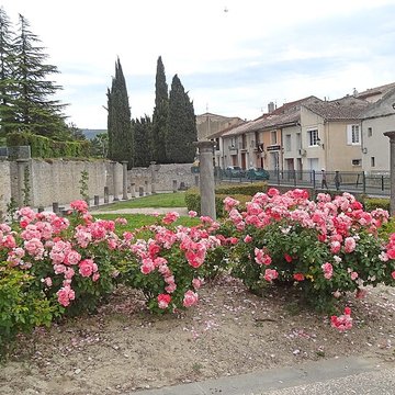 Site gallo-romain de la colline du Puymin à Vaison-la-Romaine