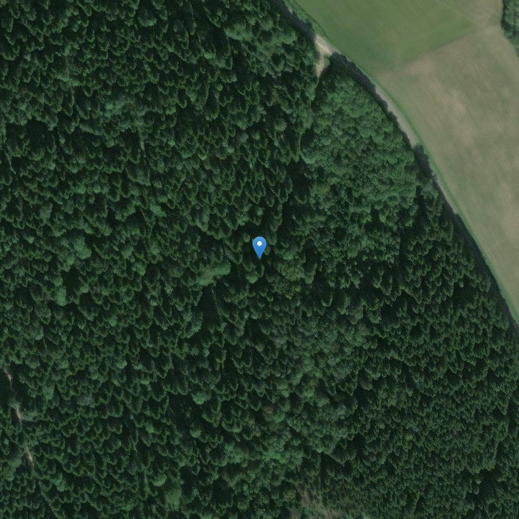 Photo de Site gallo-romain d'Équevillon