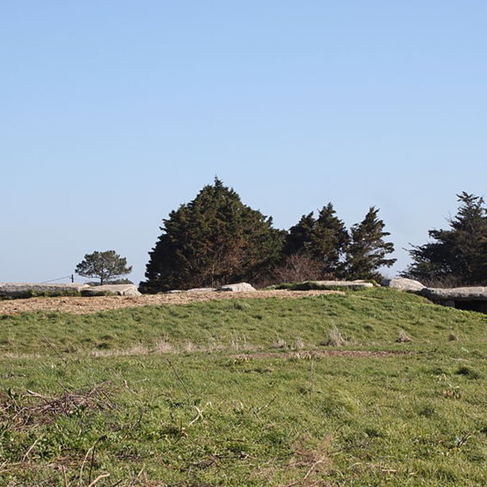 Photo de Les Pierres Plates de Locmariaquer