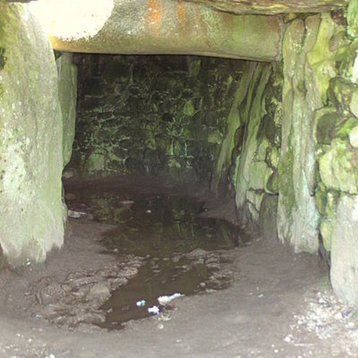 Photo de Les Pierres Plates de Locmariaquer