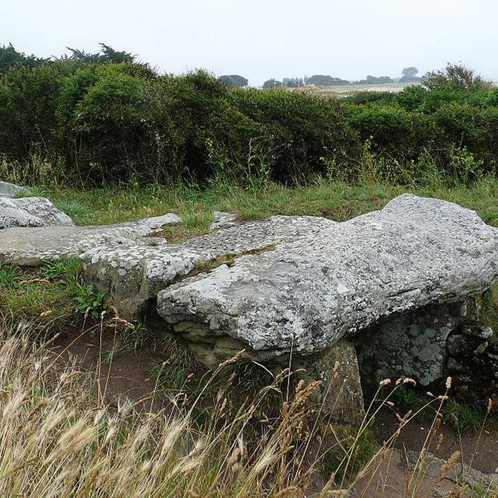 Photo de Les Pierres Plates de Locmariaquer