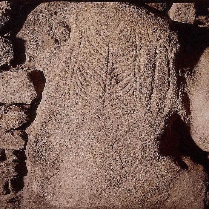 Photo de Les Pierres Plates de Locmariaquer