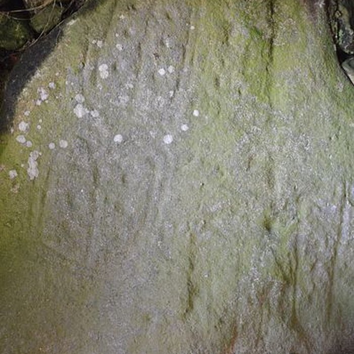 Photo de Les Pierres Plates de Locmariaquer