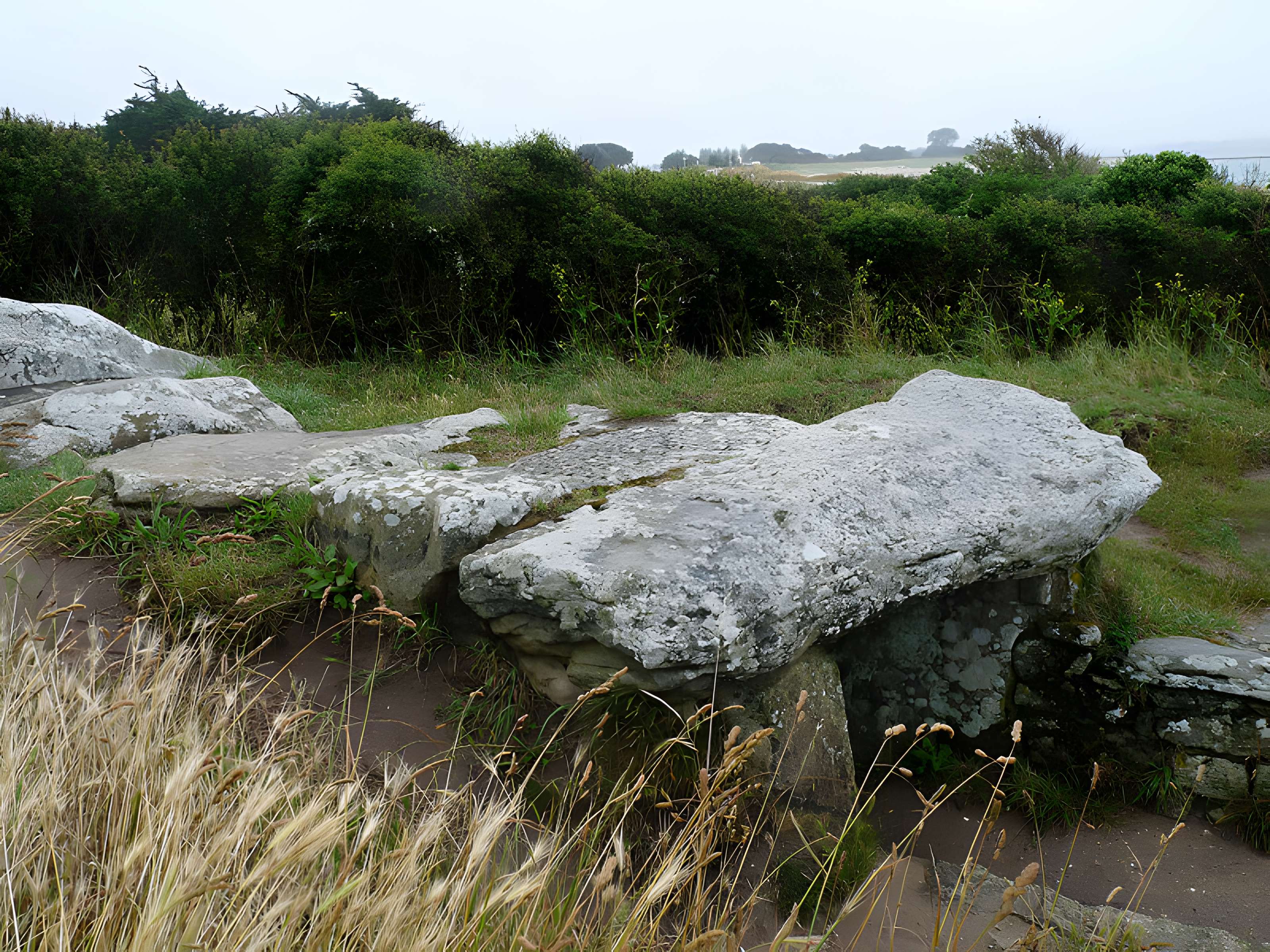 Les Pierres Plates de Locmariaquer