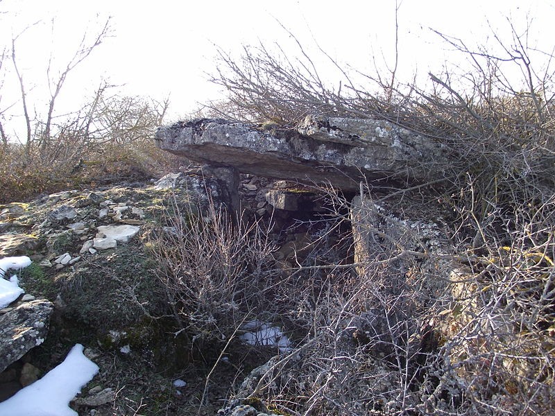 Photo de Site mégalithique du plateau de Poujoulet à Marvejols