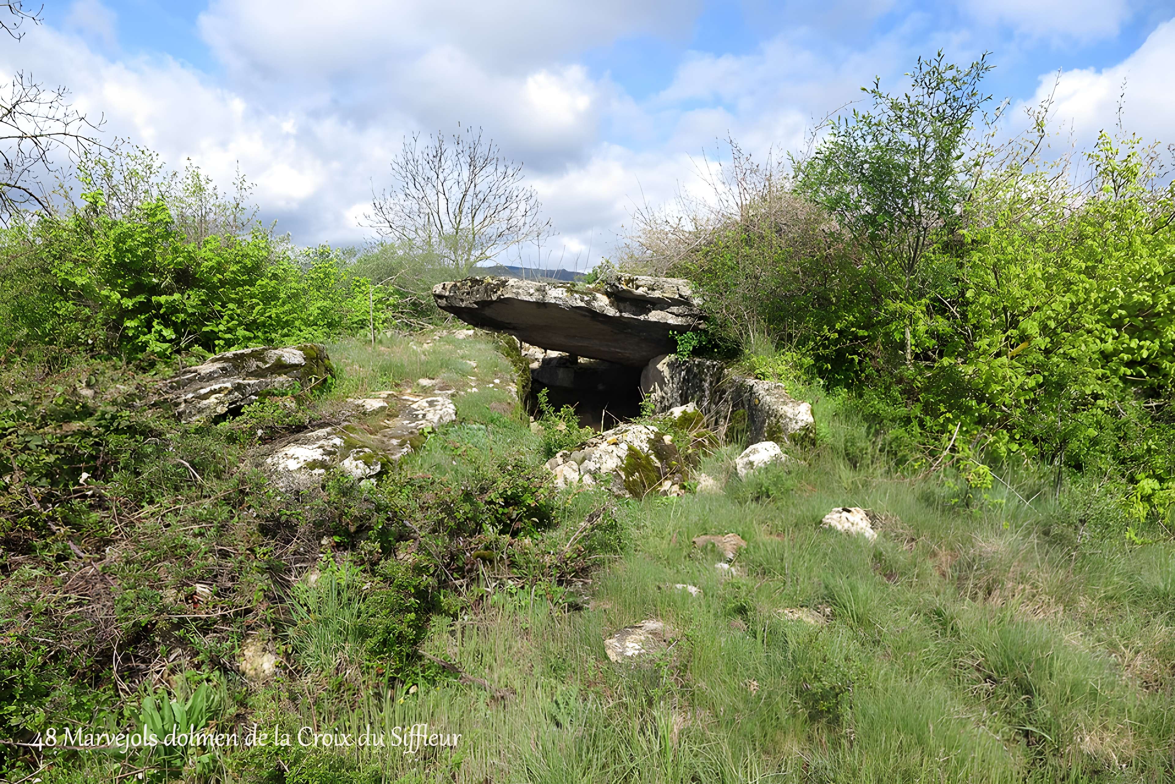 Site mégalithique du plateau de Poujoulet (également sur commune de Montrodat)