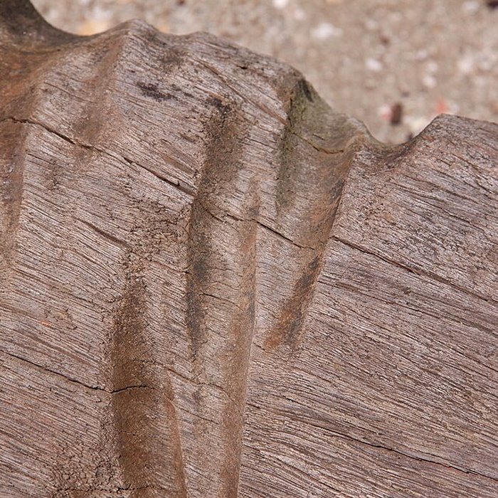 Photo de Slip way de La Rochelle