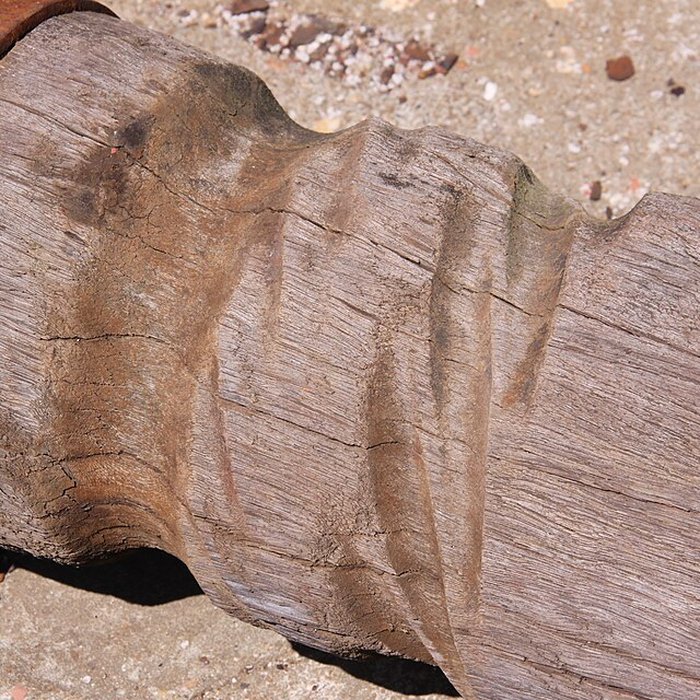 Photo de Slip way de La Rochelle