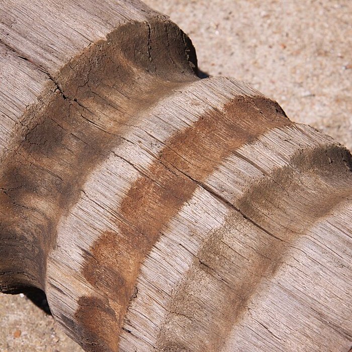 Photo de Slip way de La Rochelle