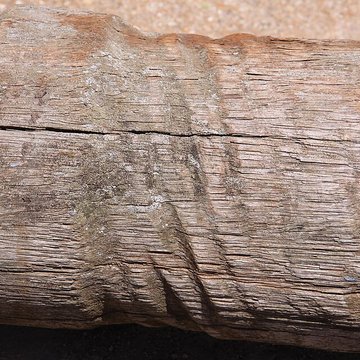 Slip way de La Rochelle