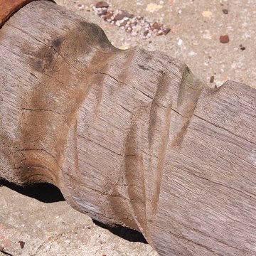 Slip way de La Rochelle