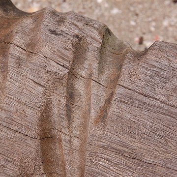 Slip way de La Rochelle