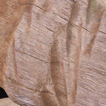 Slip way de La Rochelle