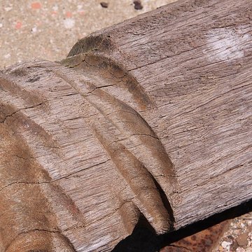 Slip way de La Rochelle