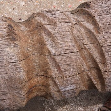 Slip way de La Rochelle