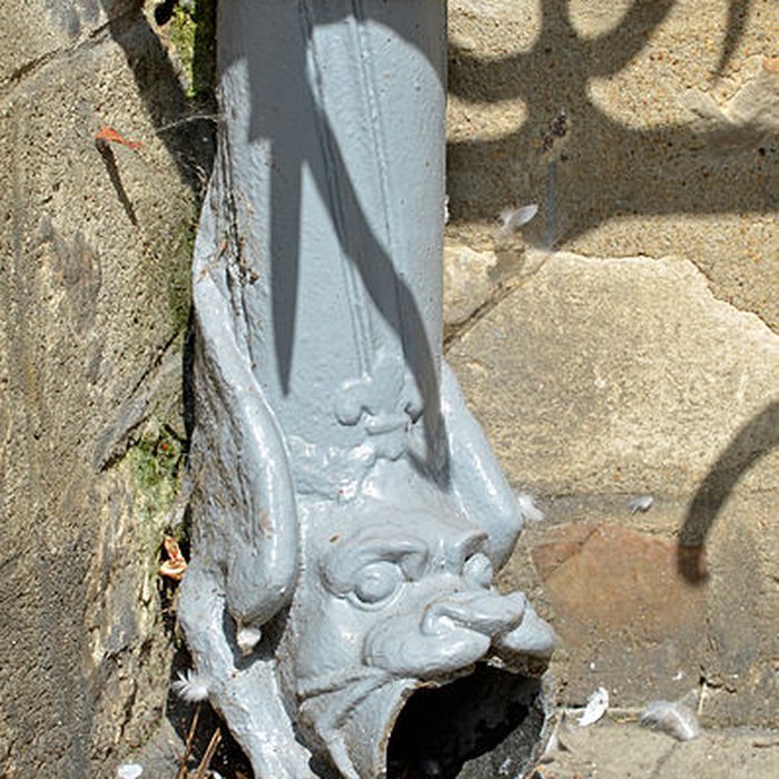 Photo de Sols Rue Dorée au Mans