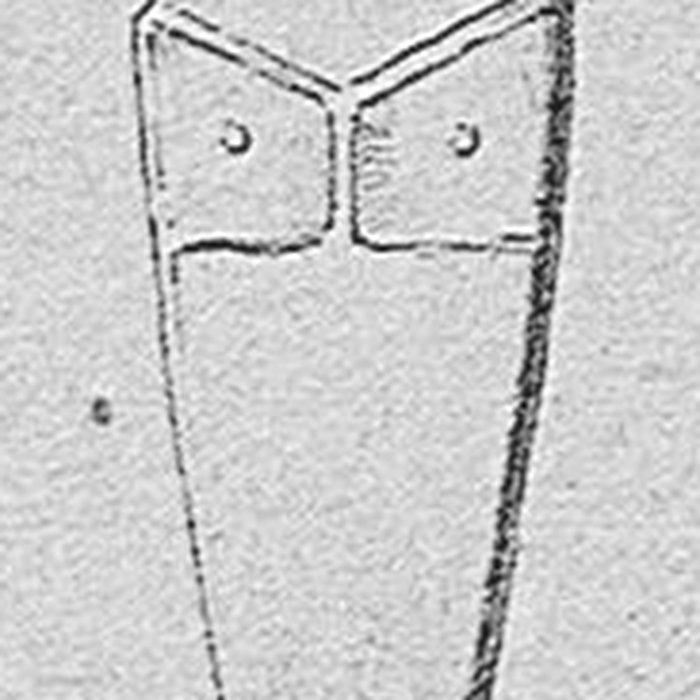 Photo de Figure antique dAppriciani rocher sculpté en forme de tête humaine