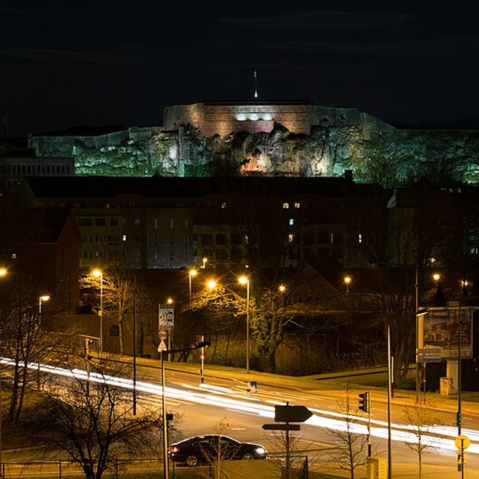 Photo de Lion de Belfort