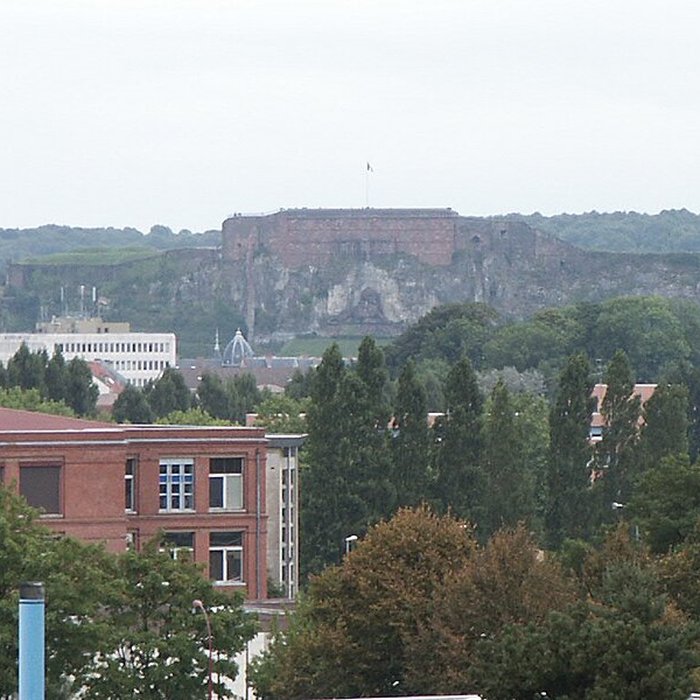 Photo de Lion de Belfort