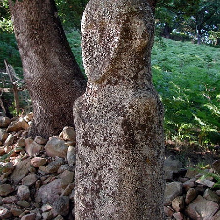 Photo de Statue-menhir de Tavera