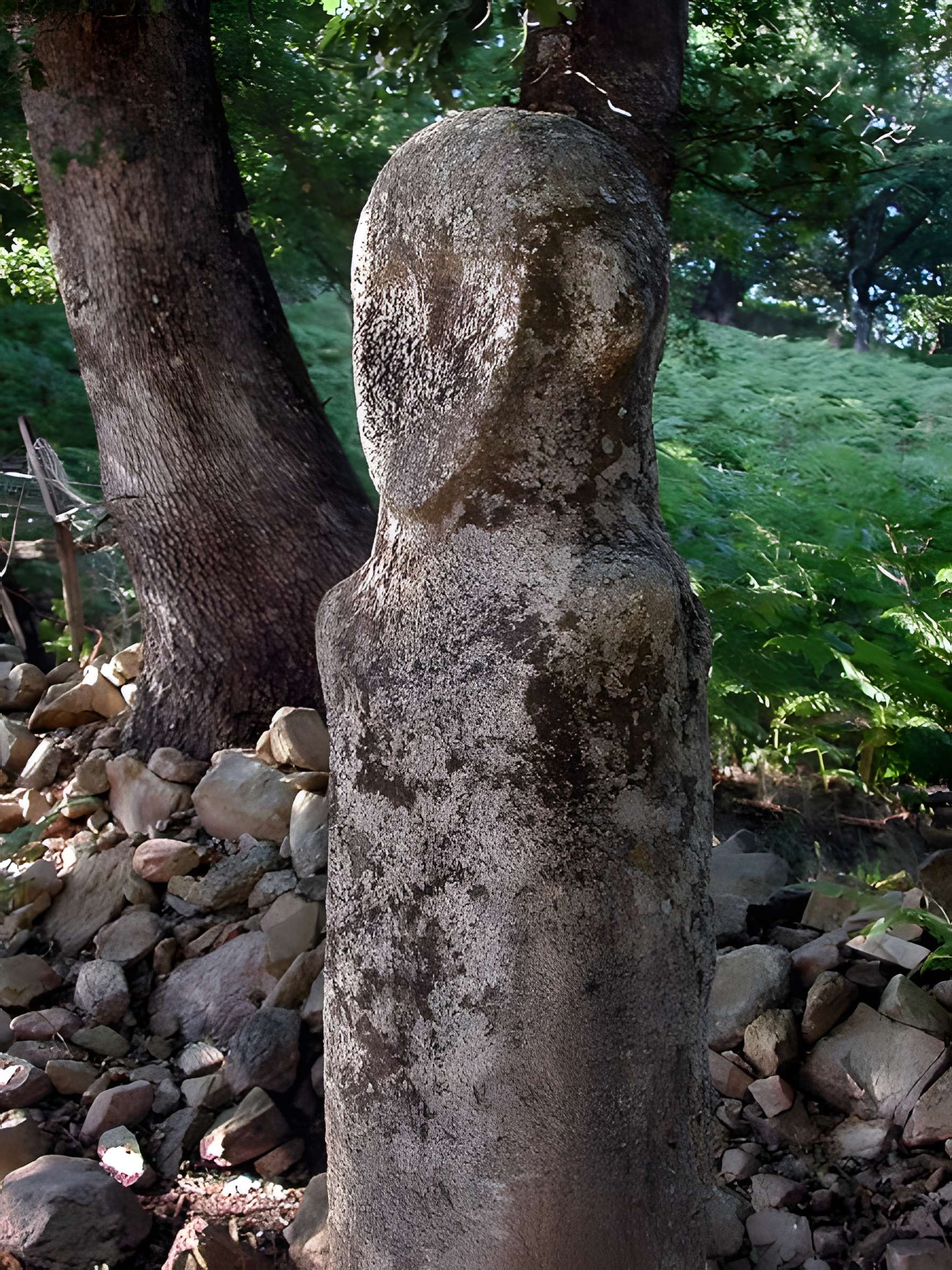 Statue-menhir de Tavera 