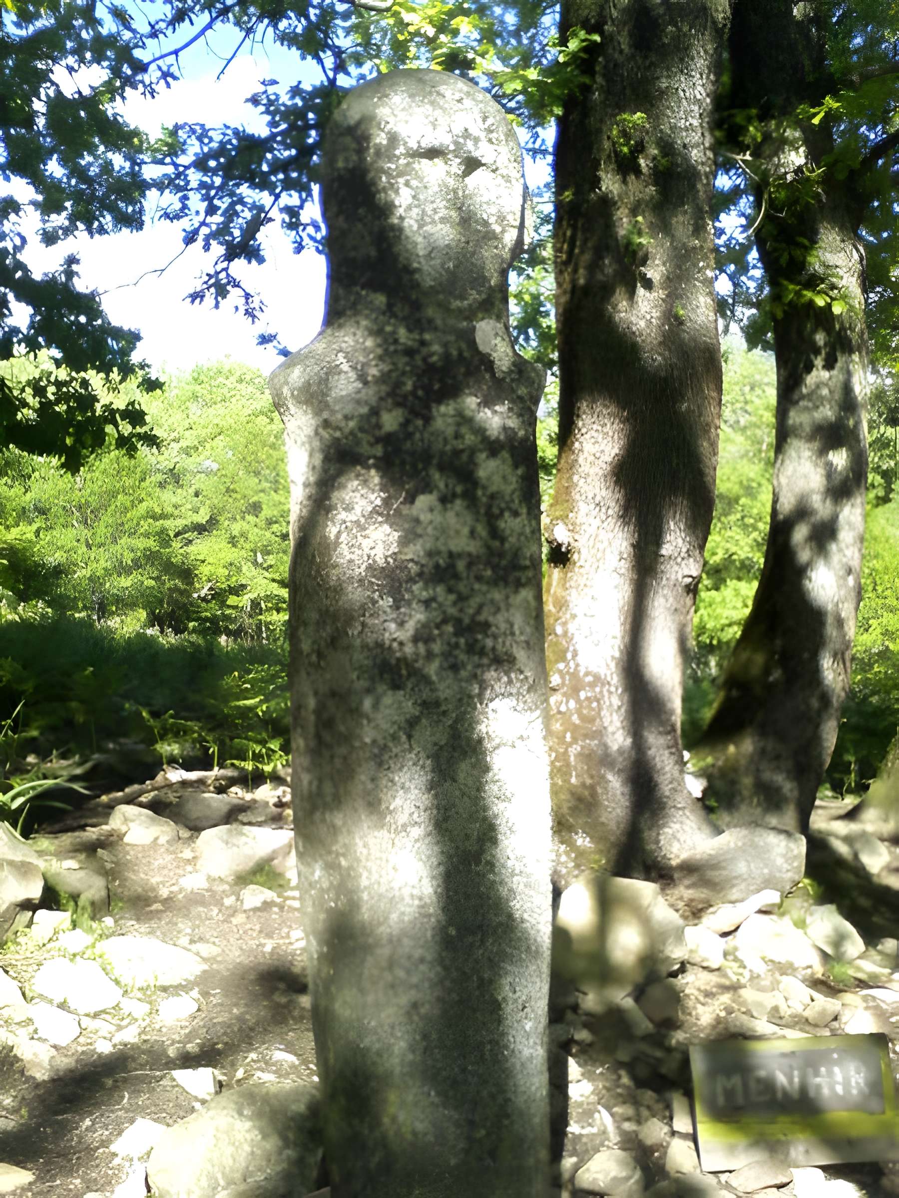 Statue-menhir de Tavera