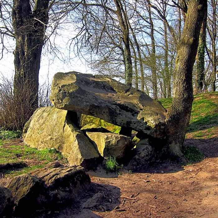 Photo de Table des Fées de Fresnicourt-le-Dolmen