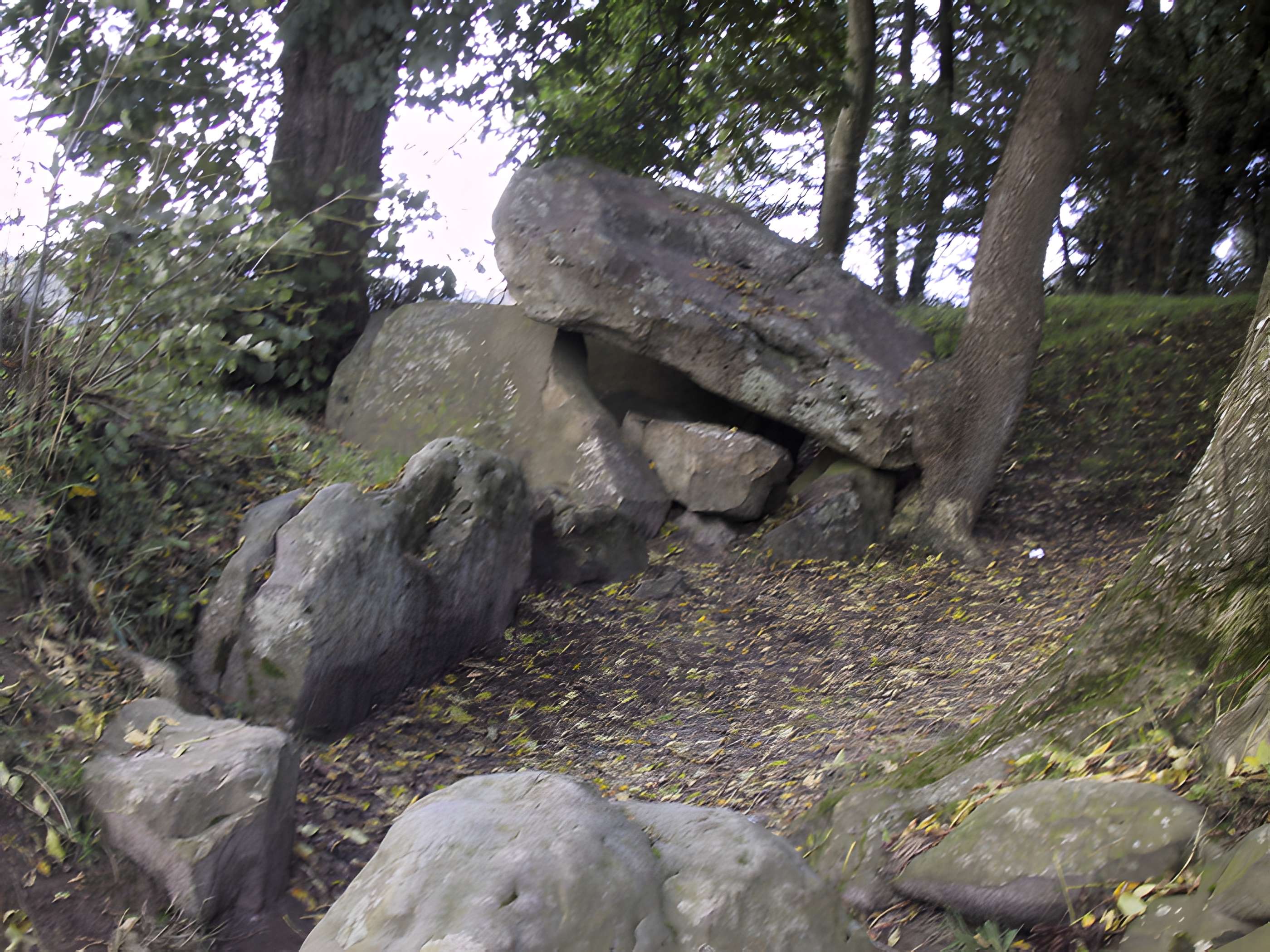 Table des Fées de Fresnicourt-le-Dolmen