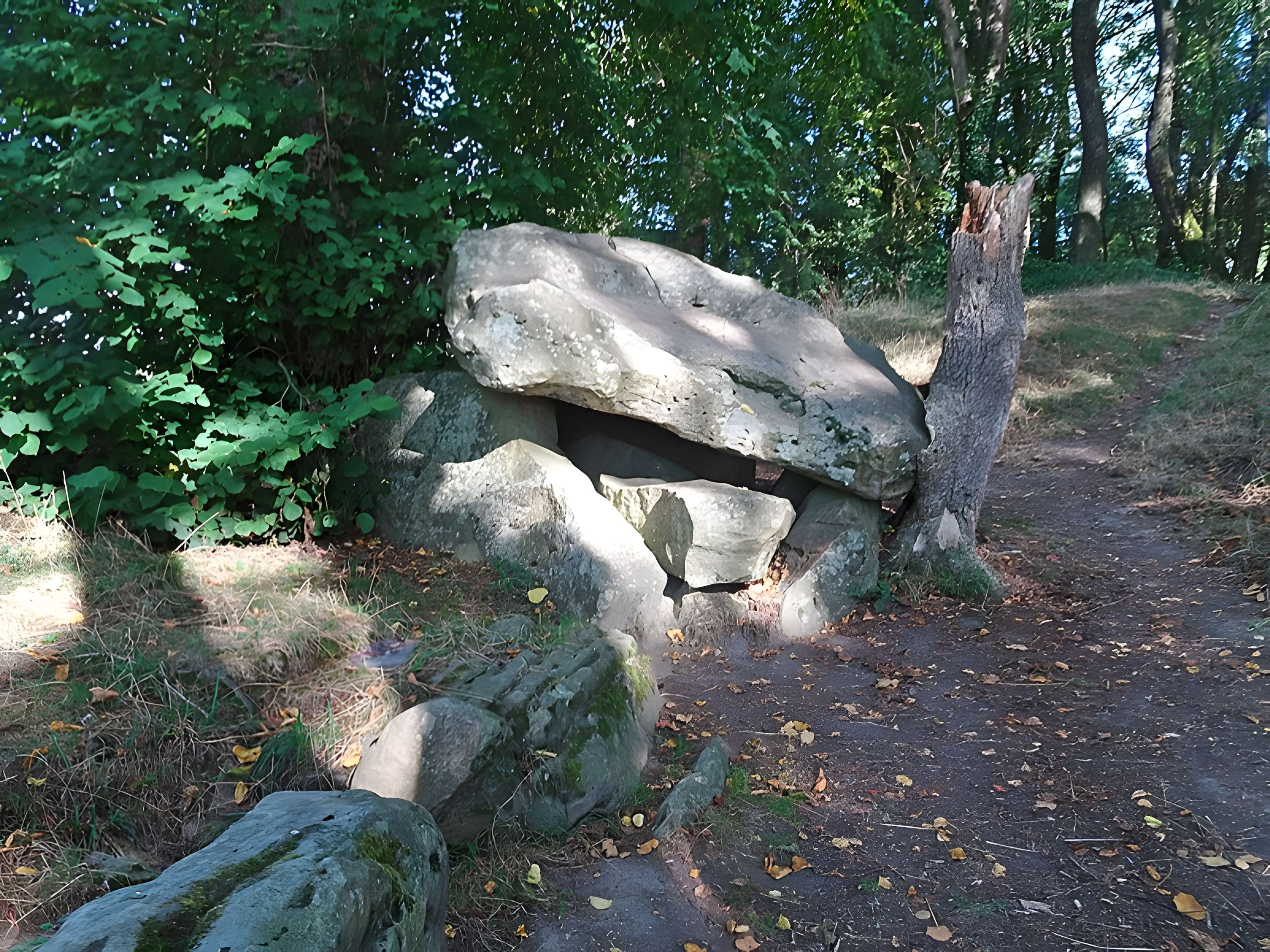 Table des Fées de Fresnicourt-le-Dolmen