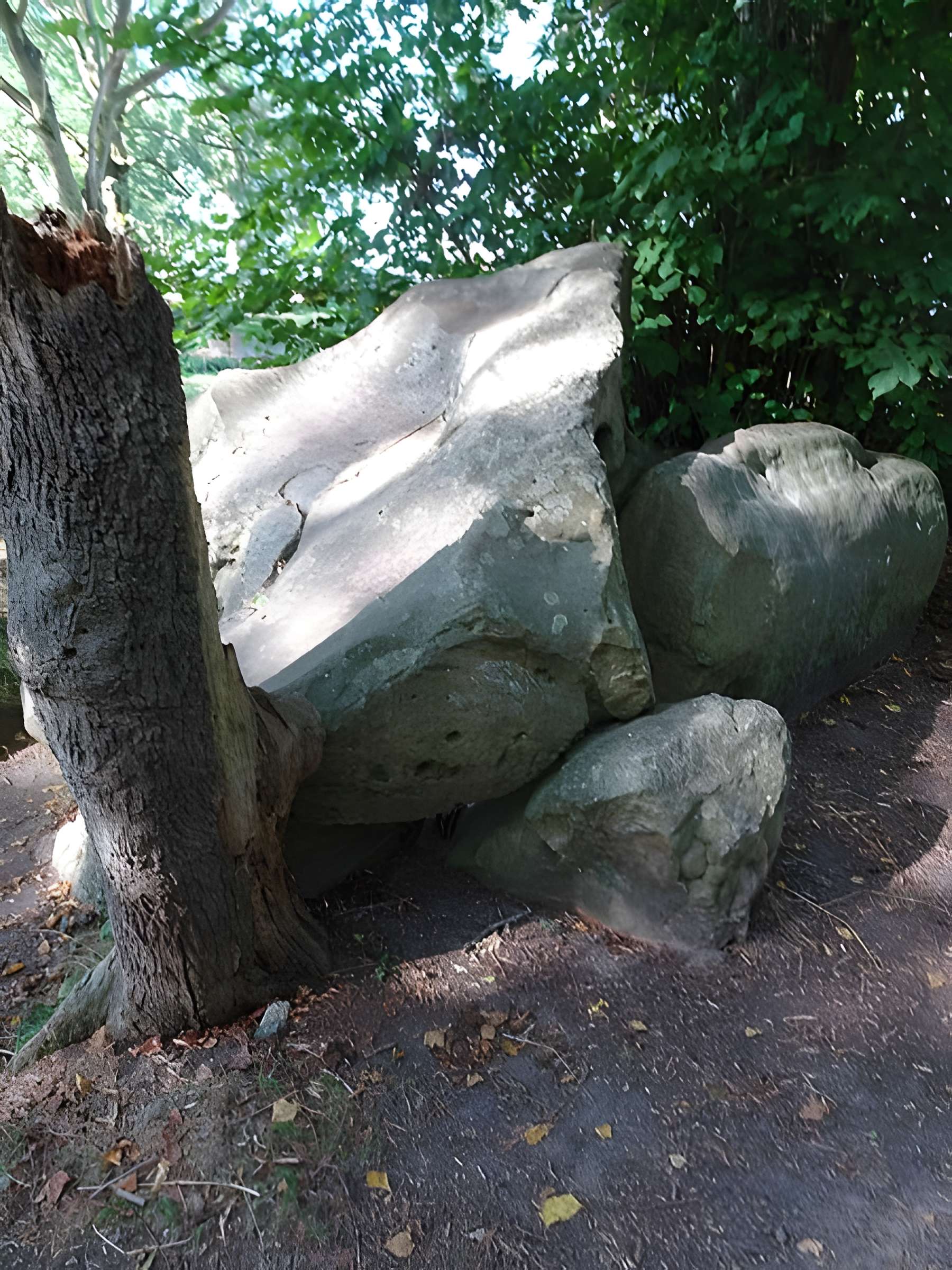 Table des Fées de Fresnicourt-le-Dolmen