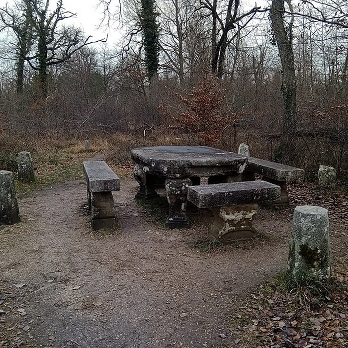 Photo de Table du Grand Maitre à Fontainebleau