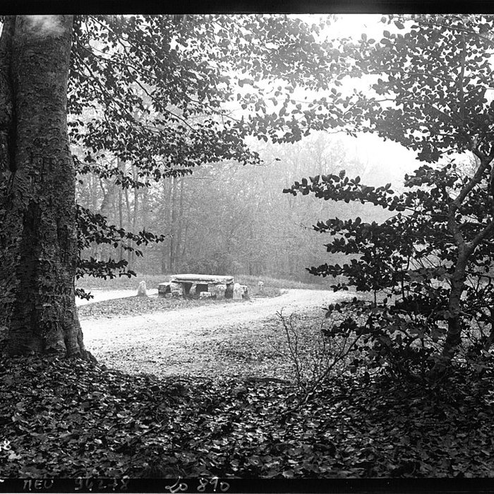 Photo de Table du Grand Maitre à Fontainebleau
