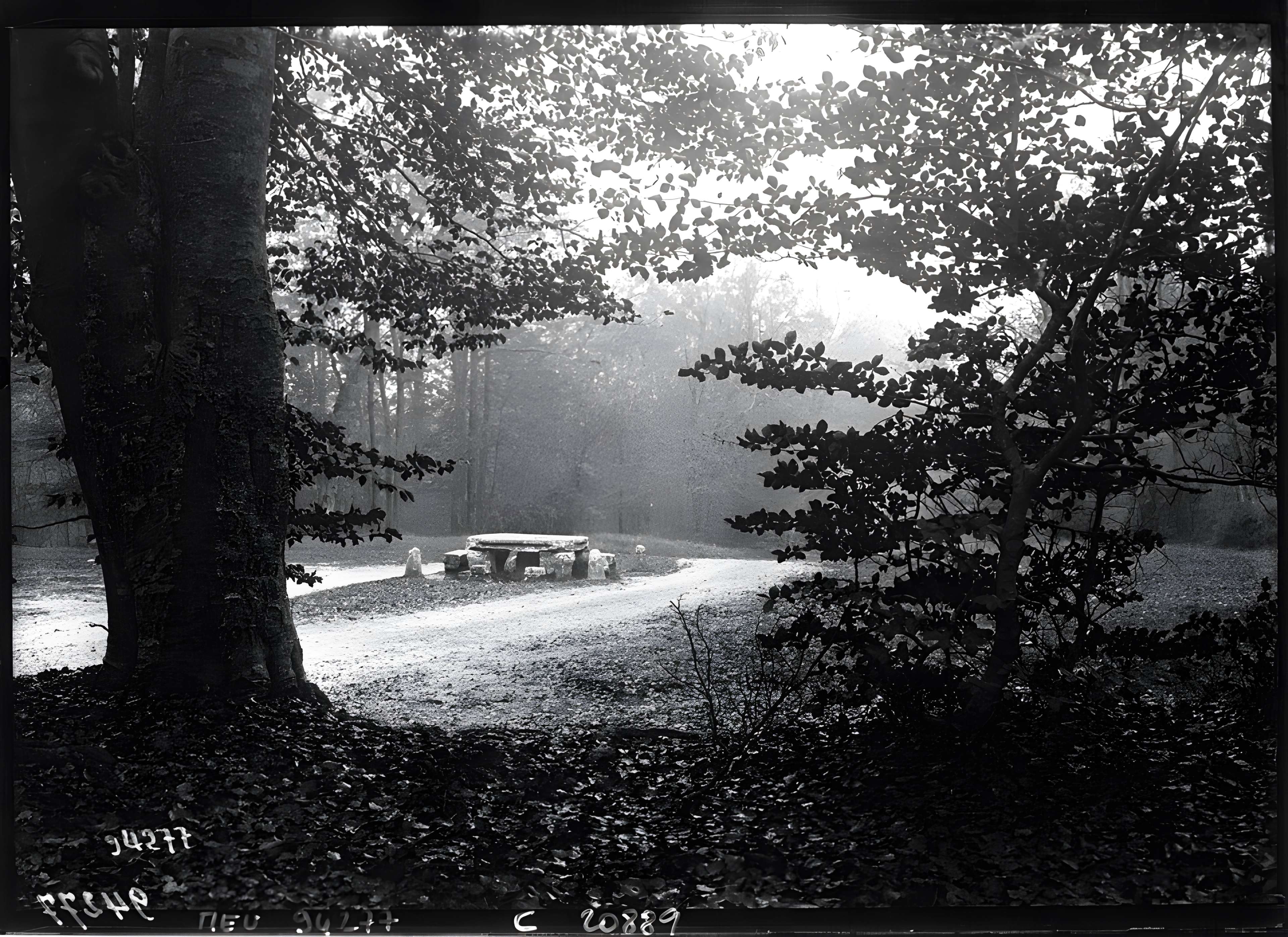 Table du Grand Maitre à Fontainebleau