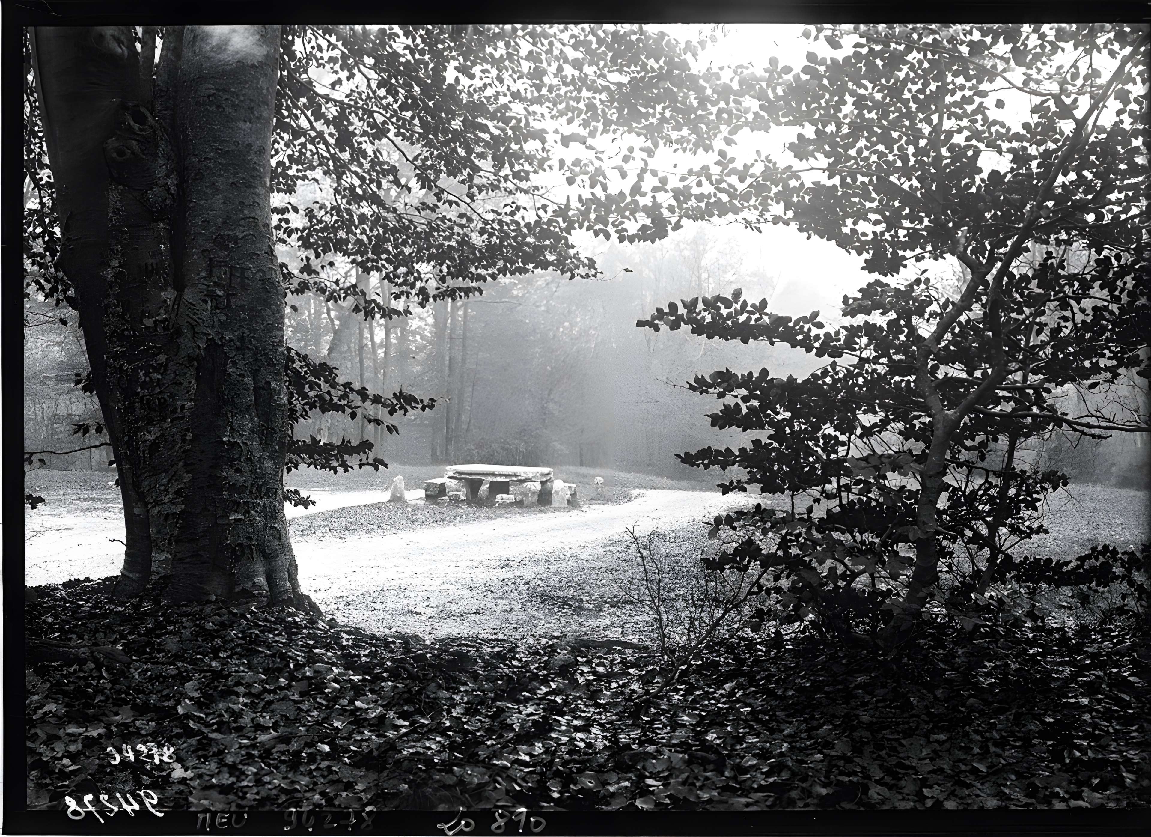 Table du Grand Maitre à Fontainebleau