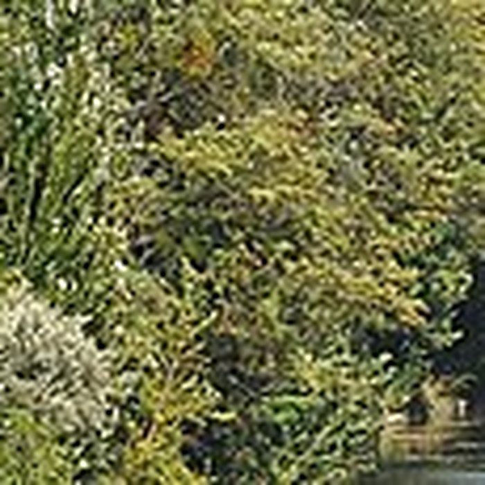 Photo de Temple de lAmour de Neuilly-sur-Seine