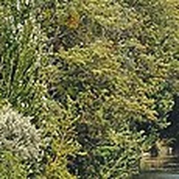 Temple de lAmour de Neuilly-sur-Seine