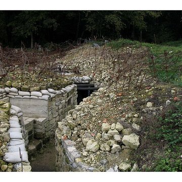 Terrains de zone rouge à Vauquois