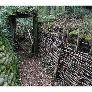 Terrains de zone rouge à Vauquois