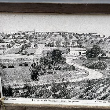 Terrains de zone rouge à Vauquois